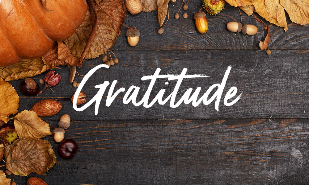 Thanksgiving: How being grateful improves your wellness and builds empowerment Thanksgiving: How being grateful improves your wellness and builds empowerment